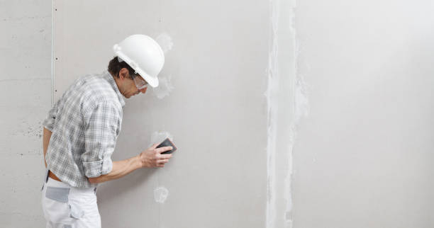 Trusted Mount Olive, IL Mold Removal Experts