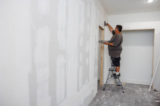 Mold Documentation for Insurance Claims in Mount Olive, IL