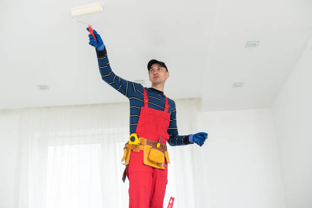  Mount Olive, IL Mold Removal Pros