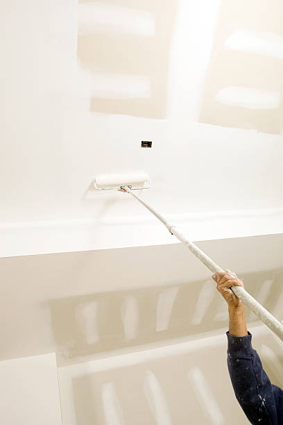 Best Mold Documentation for Insurance Claims  in Mount Olive, IL